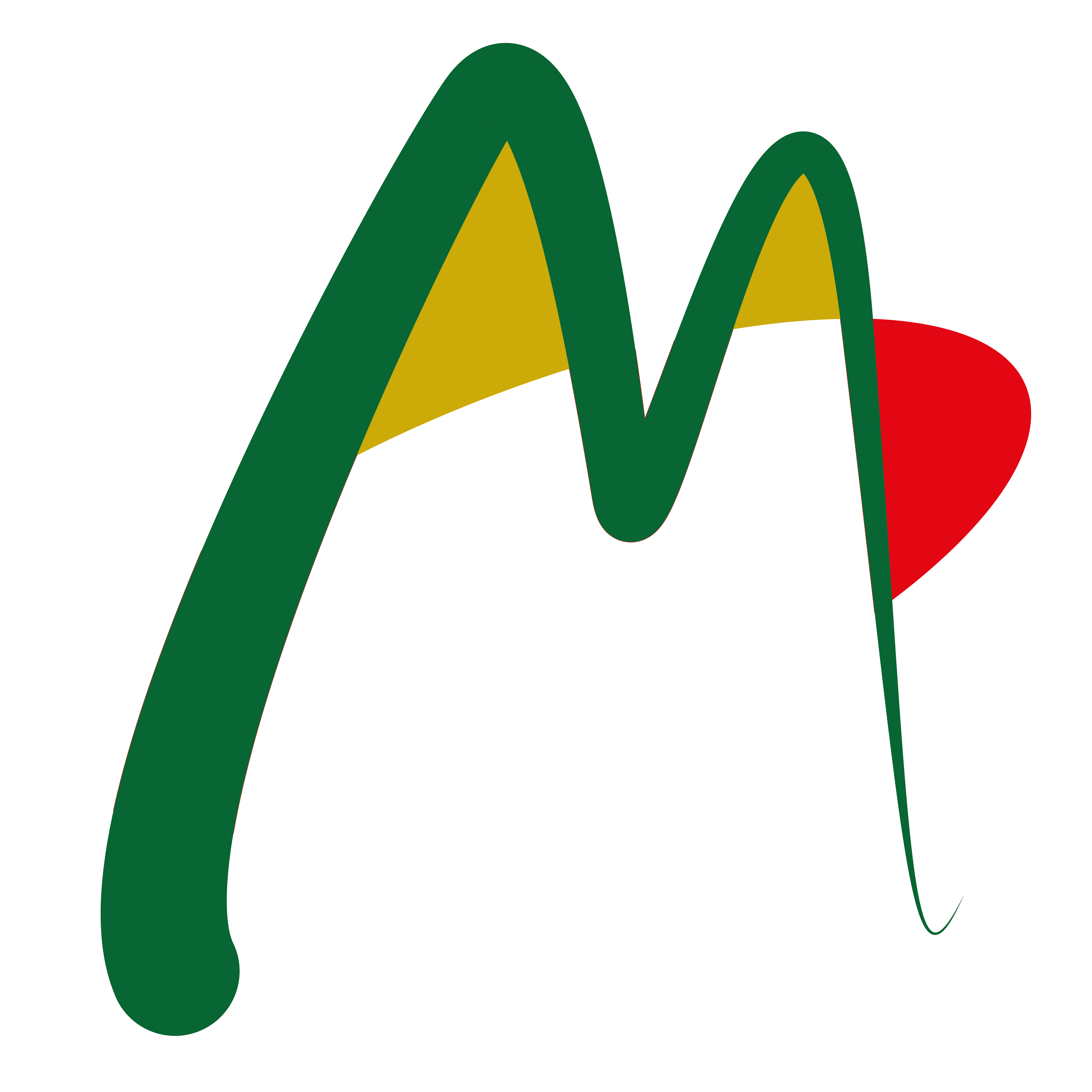 Tienda de pasiegos y merindades